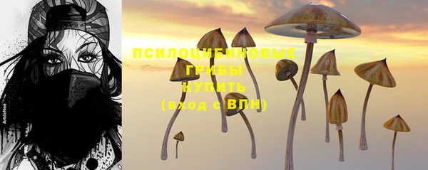 мяу мяу мука Гусев
