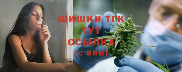 мяу мяу мука Гусев