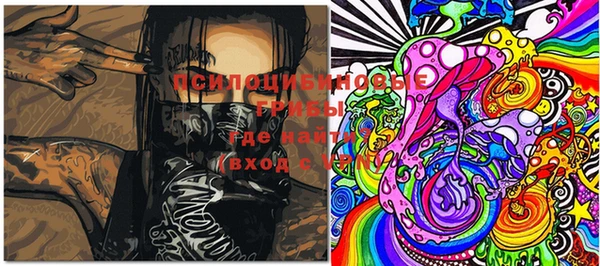 мяу мяу мука Гусев