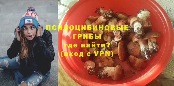 марки nbome Гусиноозёрск