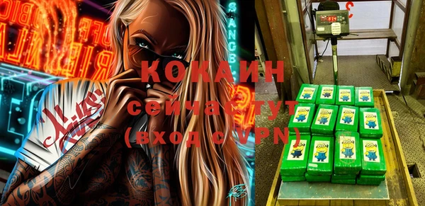 мяу мяу мука Гусев