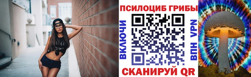 Псилоцибиновые грибы Psilocybe  Камызяк 